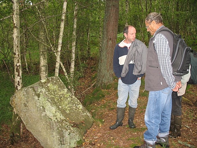 Borne armoriée Marais du Cerisaie 29.7.2007 1